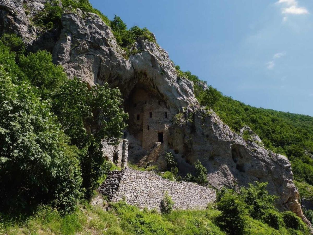 Homoljski Pogled Banja Zdrelo Exterior photo