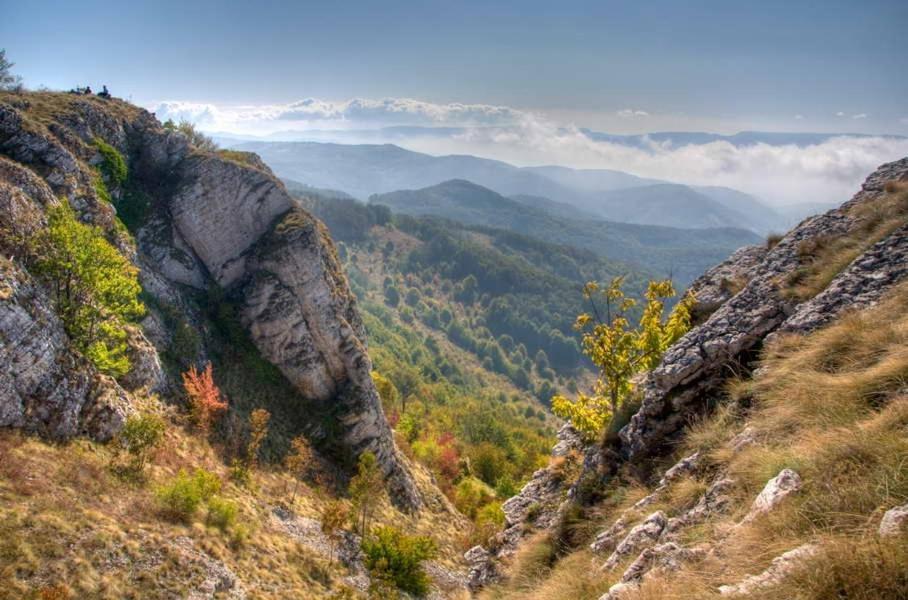 Homoljski Pogled Banja Zdrelo Exterior photo